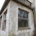 Lychen (25)